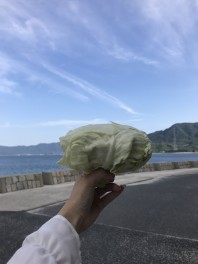 ♡うさぎの島♡　　大久野島へ行ってきました！